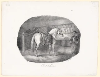 Hannoveraan (A Hanoverian Horse)