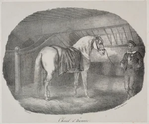 Hanover Paard