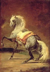 Gevlekt Grijs Paard