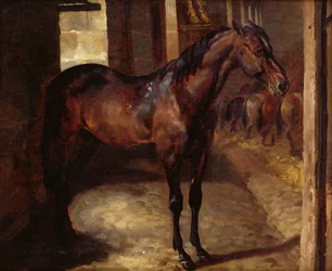 Donkerbruine paard in de stal
