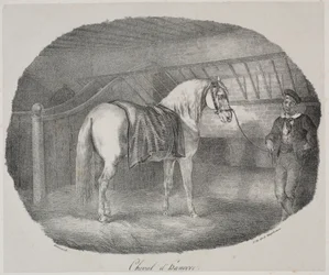 Hannoveraans Paard