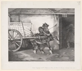 Het paard van de stukadoor (The Plasterer