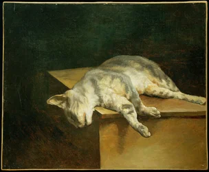 Le chat mort - De dode kat ...