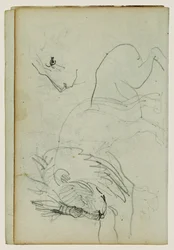 Leeuw studies
