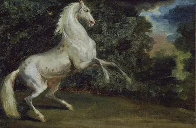 Steigerend Paard