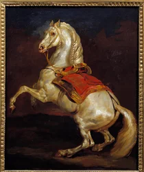 Tamerlan paard