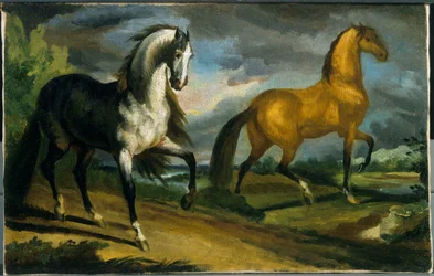 Twee paarden