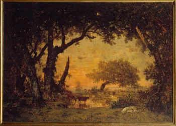 Uitgang van het bos in Fontainebleau, zonsondergang