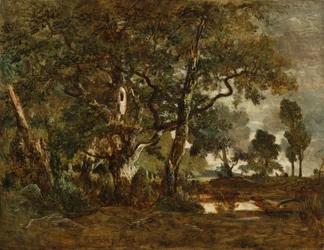 Bos van Fontainebleau, groep hoge bomen met uitzicht op de Clair-Bois vlakte aan de rand van Bas-Bréau