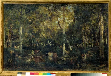 Interieur van het bos genaamd de Oude Slaapzaal van Bas-Breau (Fontainebleau bos)