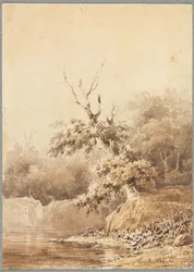 Landschap