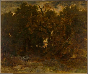 Het verlaten van het bos, Fontainebleau: Ondergaande zon