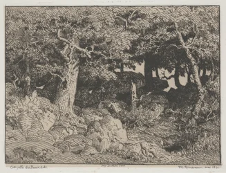 Eikenbomen en Rotsen