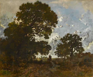 De Beuk in het Bos van L