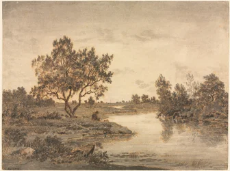 De Visser
