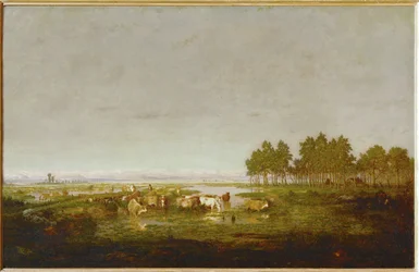 Een moeras in de Landes ...