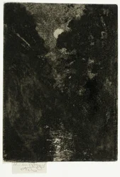 Bomen in Maanlicht