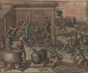 Slaven verwerken suikerriet en maken suiker, 1595