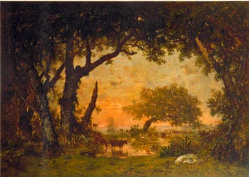 Uitgang van het bos in Fontainebleau, zonsondergang