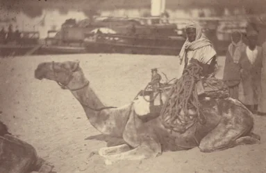 [Een Noord-Afrikaanse man op een kameel aan de oever van de Nijl].