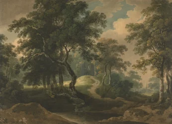 Boslandschap