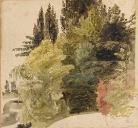 Een studie van bomen op het terrein van Merton Place