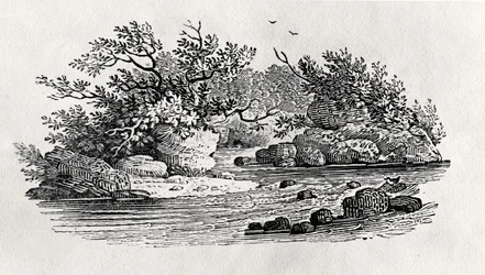 Een bocht in de rivier, uit 