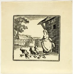 Boekillustratie