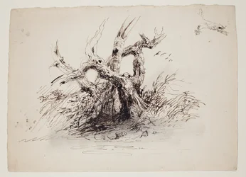 Knoestige boomstammen, ca 1826 (pen  inkt over grafiet op papier)