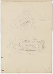 Plant in het Colosseum; Architectonisch Fragment