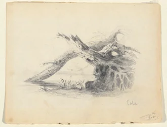 Schets van twee dode bomen