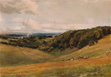 Arundel Park, met herten