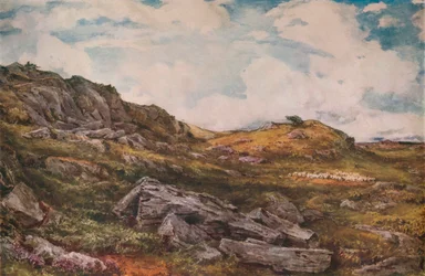 Blythburgh Common, 1888
