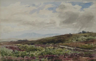 Uitzicht op Chanctonbury, West Sussex