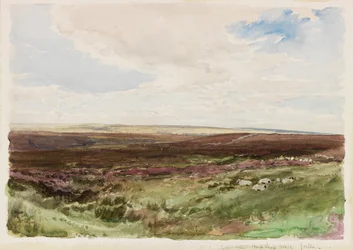 Heidelandschap bij Hart Leap Well, Yorkshire
