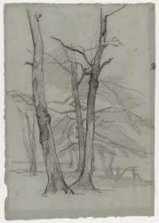 Landschapsstudie met Bomen
