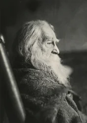 Walt Whitman in Camden, N.J., ca. 1891