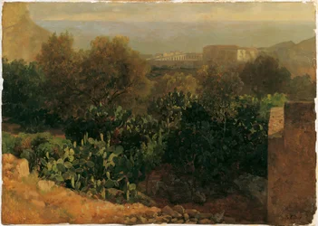 Zuidelijk landschap met cactussen
