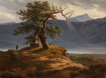 Landschap met reiziger