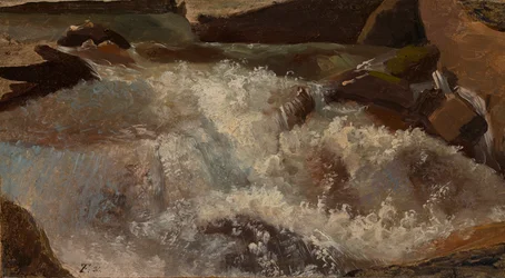 Wit water. Natuurstudie