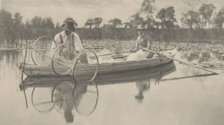 Het instellen van het strijknet,1886 (foto)