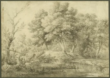 Boslandschap met stroom