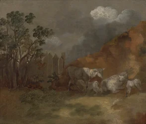 Schapen en lammeren bij een hek