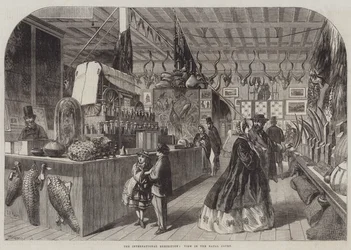 De Internationale Tentoonstelling, Uitzicht in de Natal Court