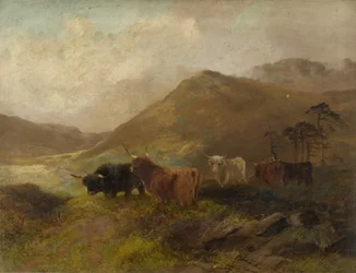Zomertijd op de Cheviots