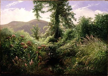 Catskill Bergen, Shandaken, New York