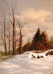 Catskill Winterlandschap