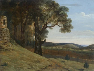 Veld bij Pencerrig