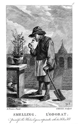 Tuinman die aan een anjer of roze Dianthus ruikt, ca. 1750