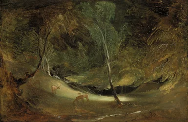 De bron van de Manifold in Ilam Park